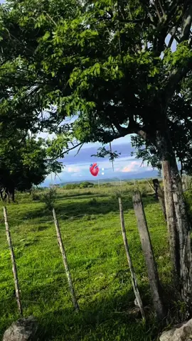#paratiiiiiiiiiiiiiiiiiiiiiiiiiiiiiii #diciembreestaaqui #foruyou #mercaderescauca 🥰🥹🎄