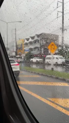 #creatorsearchinsights لاصار كثر القرب ما به مسره #بدر_بن_سعد_الشمري #قصايد #تايلند🇹🇭 