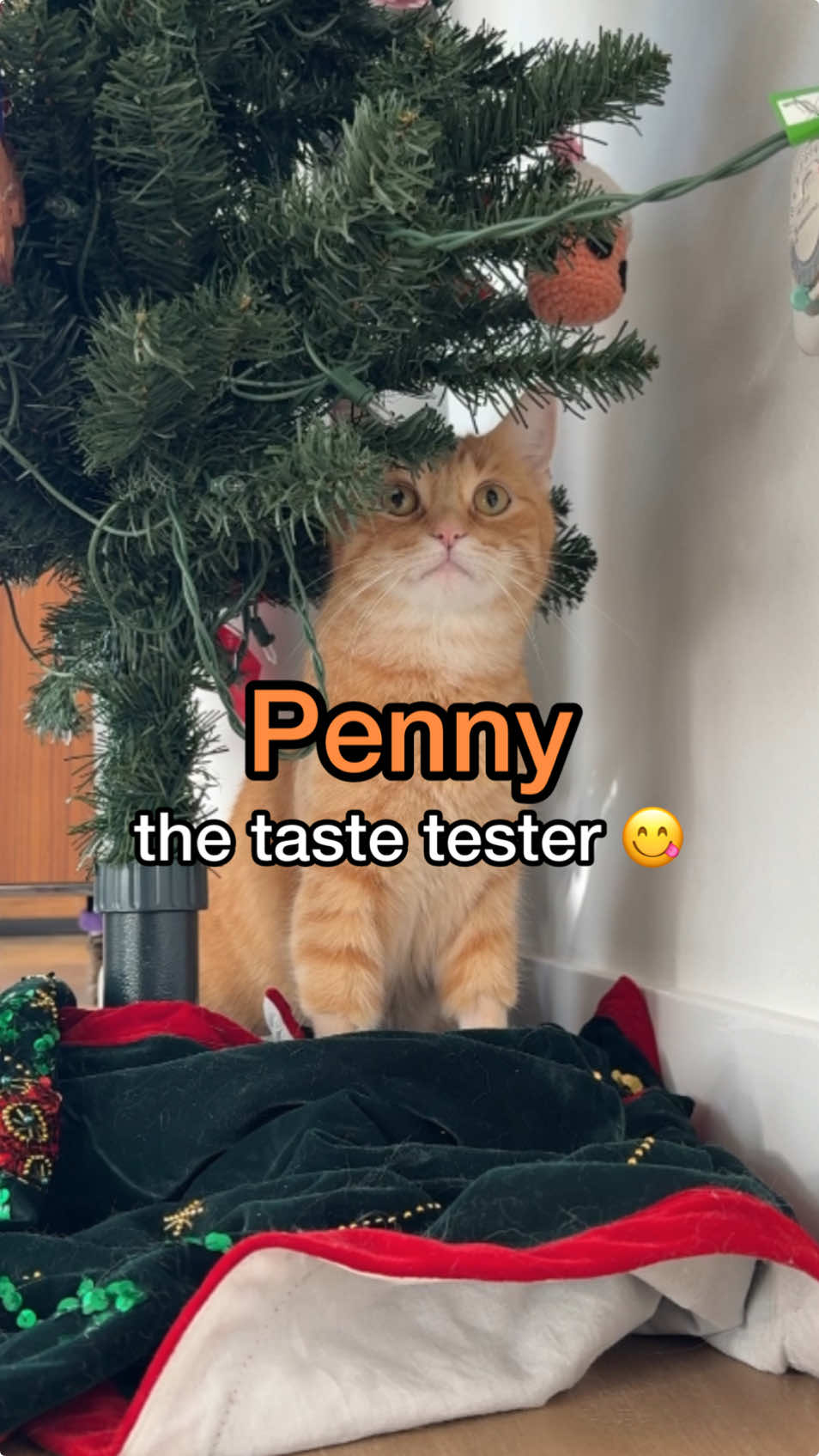 its begining to taste* a lot like christmas 
