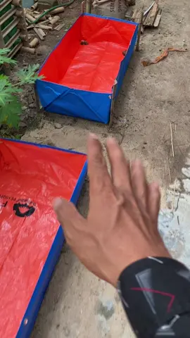 terpal kolam ikan harga 10ribuan #promoterpalkolamikan #kolamterpalmurah #terpalkolam10ribuan #HARGAJUARA #powershop #shopmaster #wibgajian #Megaguncang1212 