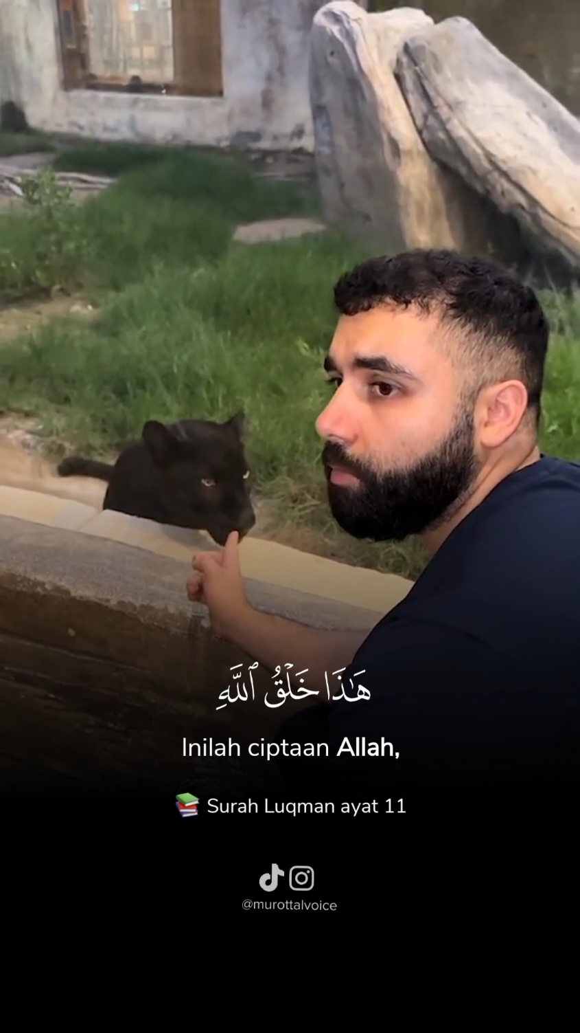 📚Surah Luqman ayat 11  🎙️Voice by Hamba Allah  #masyaallahtabarakkallah #quranrecitation #quran #quran_alkarim #fyp 