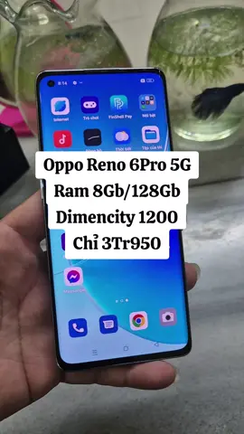 Oppo Reno 6Pro 5G chỉ 3tr950 #trinhvanmobile  #opporeno6pro 