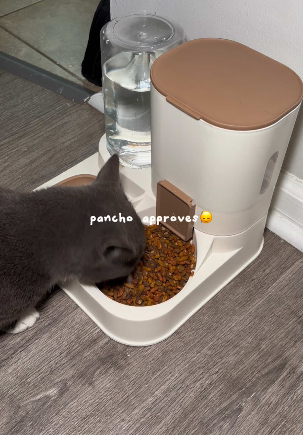 aesthetic pet feeder🐈‍⬛✨  #fypシ #petfeeder #PetsOfTikTok #giftguide #petgifts #petmusthaves #aesthetic 