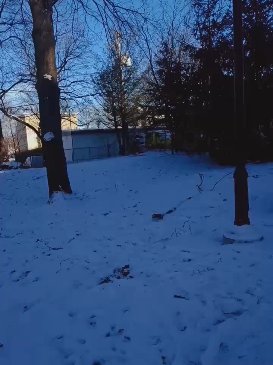 #canada_life🇨🇦 