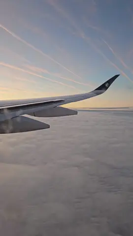 Airbus | A350-900| Air France Spoilers on descent. #aviao #plane #airbus #a350 #spotting #Spotter #wing #wingview #asa #vista #vistadaasa #window #spoiler #aviation 