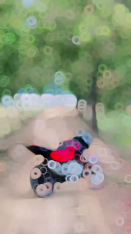 🖤👀#shafatmalek00 #frypgシ #vira #fry #bikelover #bangladesh #bikelover #bangladeshtiktok #sylhet 