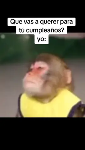 #🎂 #fyp #monkey #paratiiiiiiiiiiiiiiiiiiiiiiiiiiiiiii #monkeylover #dinero #adame 