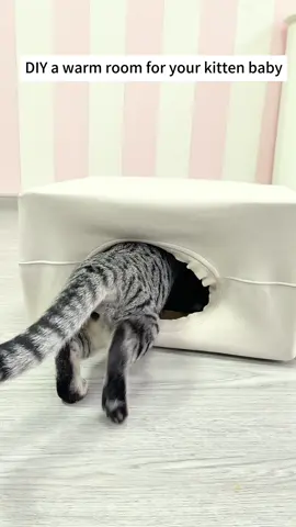 DIY a warm room for your kitten baby！#DIY #catroom #catsoftiktok #catlovers #funcats 