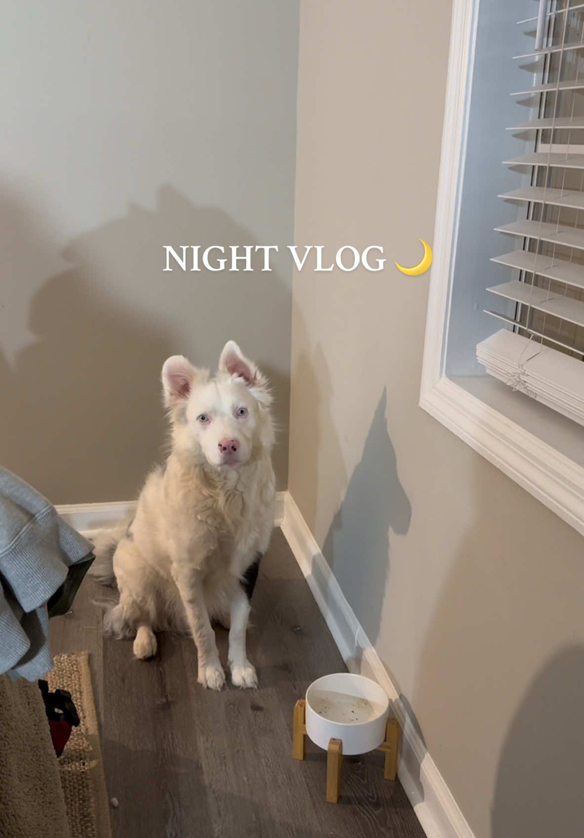 Vlogmas day 10 // Night in my life vlog 🌙 feeling a little under the weather so taking it easy tonight. Hope everyone had a great day 🩷 #nightvlog #evening #routine #eveningroutine #eveningvlog #nightinmylife #eveninginmylife #afterworkroutine #Lifestyle #lifestylevlog #goodnight #CapCut 