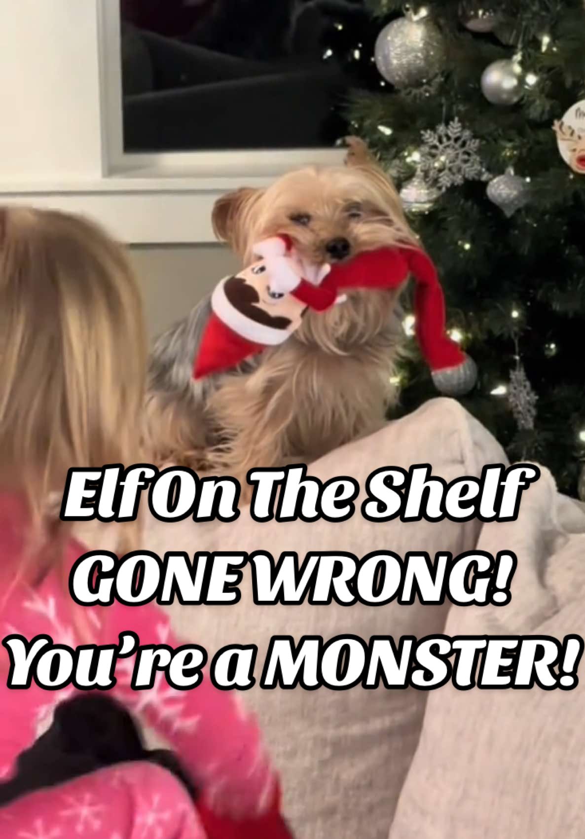 Elf on a shelf gone wrong! Your a monster! Yorkie steals toddlers elf! #elfontheshelf #youreamonster #toddlersoftiktok #fyp #christmas #yorkiesoftiktok #dogsoftiktok #funnydogs #gonewrong
