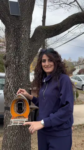 Bringing nature right to my doorstep! 🌿 With the Peckperk bird feeder, I can enjoy watching beautiful birds while adding a touch of wildlife to my backyard. 🐦✨ It’s the perfect way to connect with nature and bring a burst of life to any outdoor space. Whether you’re a bird lover or simply want to add some natural beauty to your garden, this is a must-have! 🌸💚  Link⤵️ https://www.peckperk.com/?ref=zetrhnxy 10 % off discount code 👉👉ELIZ #peckperkpartner #birdfeeder #natureathome #wildlifelovers #backyardbliss #ecofriendlyliving #Birdwatching #sustainableliving #peckperk  #discover #outdoor #outdoorlife #backyard @PeckPerk 