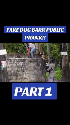 FAKE DOG BARK PUBLIC PRANK!! CREDIT TO THE BARTOLO BROTHERS #PublicPranks #PinoyPranks #PinoyFunnyPranks #PinoyFunnyVideosPranks #PinoyFunnyMomentsPranks #LongerVideos #ForYouPage
