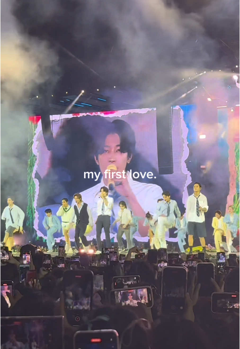 my first and last love.  #seventeen #seventeen17_official #fyp #fyppppppppppppppppppppppp #scoups #jeonghan #joshua #jun #hoshi #wonwoo #woozi #mingyu #dk #the8 #seungkwan #vernon #dino #seventeenedit #seventeencarat 