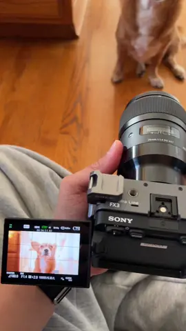 stellar ⚡️ #cinematography #videography #cinematic #cine #Vlog #filmtok #fyp #fypシ #videographer 