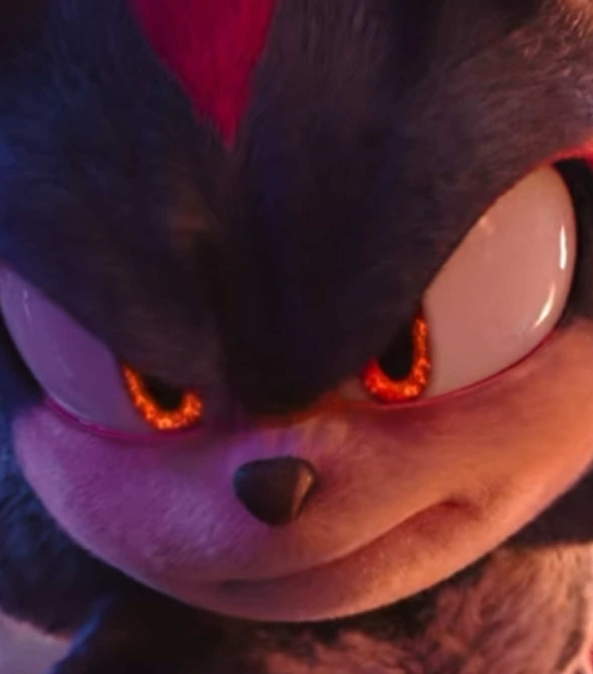 okay #shadowthehedgehog#sonic3#sonicthehedgehog3#sonic#sonicthehedgehog#sonic3movie#sonicmovie2#moviesonic#movieshadow#teamsonic#sonicfranchise#sonicmeme#yearofshadow#meme#funny#sonicmeme#trend#trending#viral#blowup#tiktok#foryou#fyp#fypp