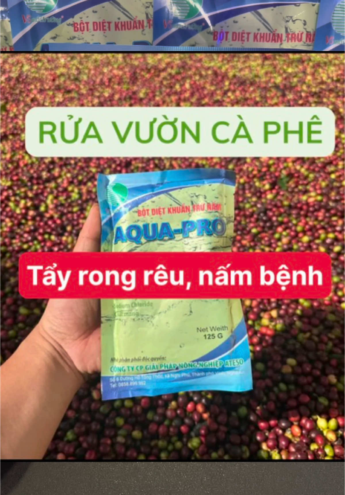 Aqua-Pro, phun rửa vườn cà phê, sầu riêng sau thu hoạch, xử lý nấm bệnh cây trồng. #Aquapro #aqua_pro #nambenhcaytrong #ruavuoncaphe 