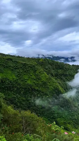 Sejenak menikmati suasana udara segar. #bukitcintawonosobo #telagamenjer #wonosobo #dieng #pariwisatawonosobo #pesonaindonesia #wonderfulindonesia 