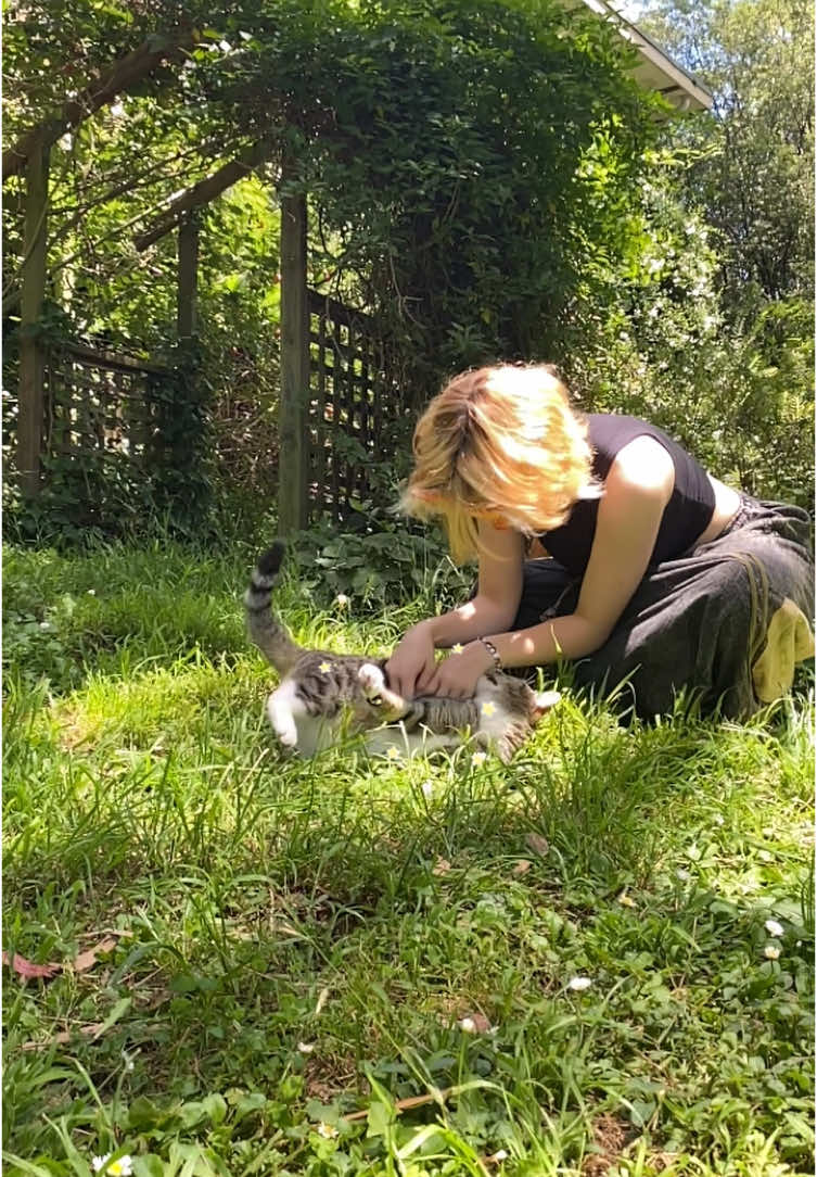🍖 ~ he smacked a mosquito off my arm while i typed this #fup #fyp #therian #foxtherian #cat #nature #christmas #forupage #therians #quadrobics #birdbonez #xyzabc 