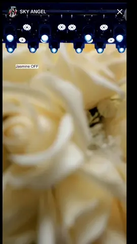 đám cưới VIP của cbee@Lilly  @SKY ANGEL  #niunyyva#anhnahhh #đamcuoivippppp #xuuuhuonggg  #Đamcuoivipppppppp