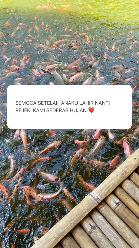 #bumil #bumilhappy #bumilsehat #bumilsehatbayisehat🤰♥️😘😘 #dramabumil #