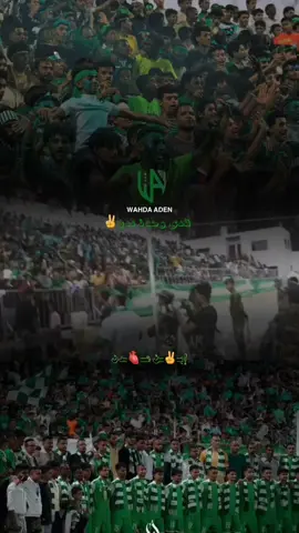 نادي وحدة عدن 💚 بطل الكأس 🏆#محبين #نادي_وحدة_عدن💚 #عدن_عشق_لا_ينتهي❤️ #اكسبلورexplore 