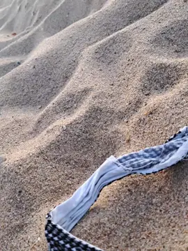 #familyvideo #loud#andproud🤩 andproud 