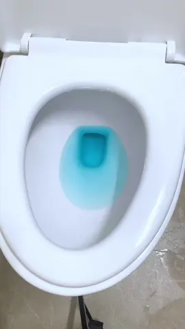 Viên thả sạch bồn cầu Cleanz , kháng khuẩn, khử mùi cùng với hương đào thơm mát #viensachboncaucleanz #toile #nhavesinh #boncau 