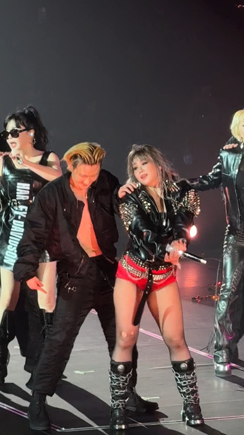 2ne1 - falling in love #2ne1 #blackjack #concert  #CL #DARA #MINZY #PARKBOM  #2NE1_WELCOMEBACKinHONGKONG  #欢迎回来女王_2NE1  #kpopfyp #nolza #yg  #2ne1inhongkong2024 