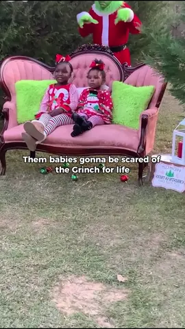 Girls run away screaming after Grinch disrupts holiday photoshoot #grinch #grinchtiktok #christmas #christmastiktok #christmasprank