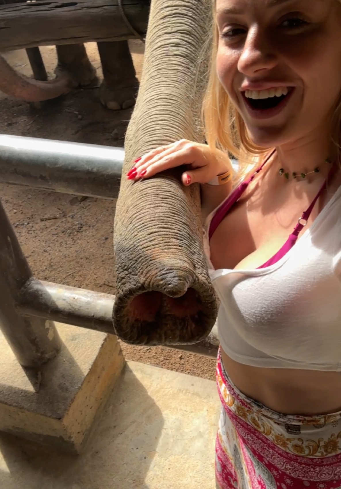Journee avec les éléphants, incroyable 🥰  #Vlog #voyage #travel #elephants #animaux