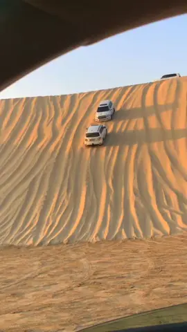 Let's doo safari 🙌 Book now your Dream tours with us. #100kviews #exploreqatar #dunebashing #sealinebeachqatar #sealinebeachqatar #visitqatar #doha #dohaqatar #dohaqatar @Visit Qatar @Alfa Adventures 