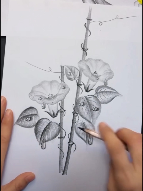 How To Drawing With a Pencil ✏️  . . .. #drawings 