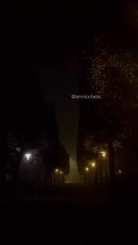 ای ساربان آهسته ران🖤  #aysarban #sarban #afghan #song #afghanmusic #fyp #oldsong #oldisold #life #darkness #thoughts #lifegoeson #zhuwand 