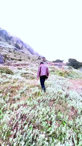 Tumse hi milkar#foryou#typforyoupage#foryoupagе#support_me#typ#trending#goviral#titoknepal🇳🇵 