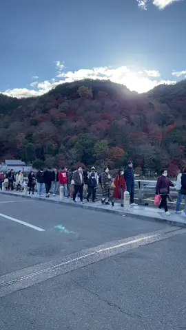 #kyoto #japan #travel #fyp #fy #fypage #nature #autumn 