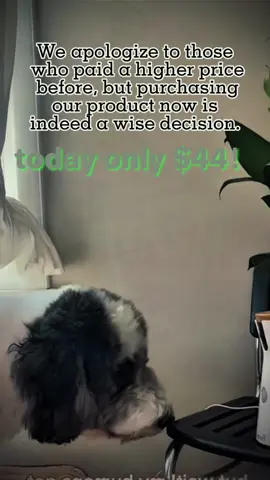 #fyp #christmas #shopping #catdaysoftiktok #my capcut #BlackTikTok #trending #foryoupage #parati #fyp #funnyvideos #USB #usb #wirelesscharger #cellphonestand #TikTokShop 