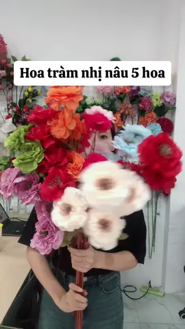 #hoatramnhinau #hoatram #tiemhoalua1992 #xuhuong 