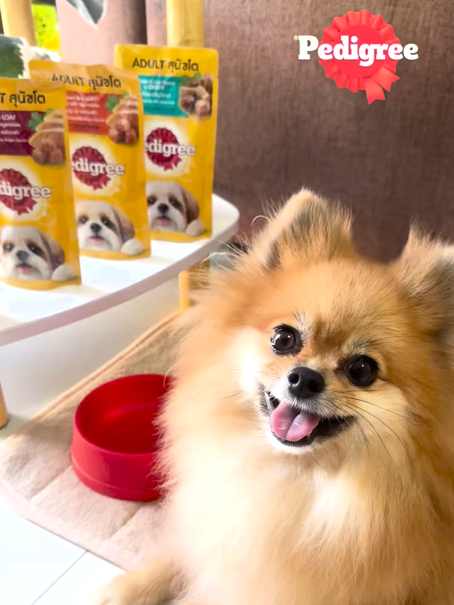วางอาหารให้ปุ๊บ เจ้าตัวแสบกินปั๊บ🍽✨   🐕‍🦺 อาหารเปียกสุนัขของ Pedigree นอกจากจะเนื้อแน่น กลิ่นหอม น่าทานแล้ว ยังช่วยให้ระบบภูมิคุ้มกันน้องหมาแข็งแร็งและมีสารอาหารครบถ้วน สมดุล แถมมีสารต้านอนุมูลอิสระอีกด้วยนะ วางใจเรื่องสุขภาพได้เลย มีหลายรสชาติให้อิ่มอร่อยได้ไม่ซ้ำวัน กดตะกร้าได้เลยย! 🛍   #Pedigree #เพดดีกรี #อาหารเปียกสุนัข #ทาสหมา