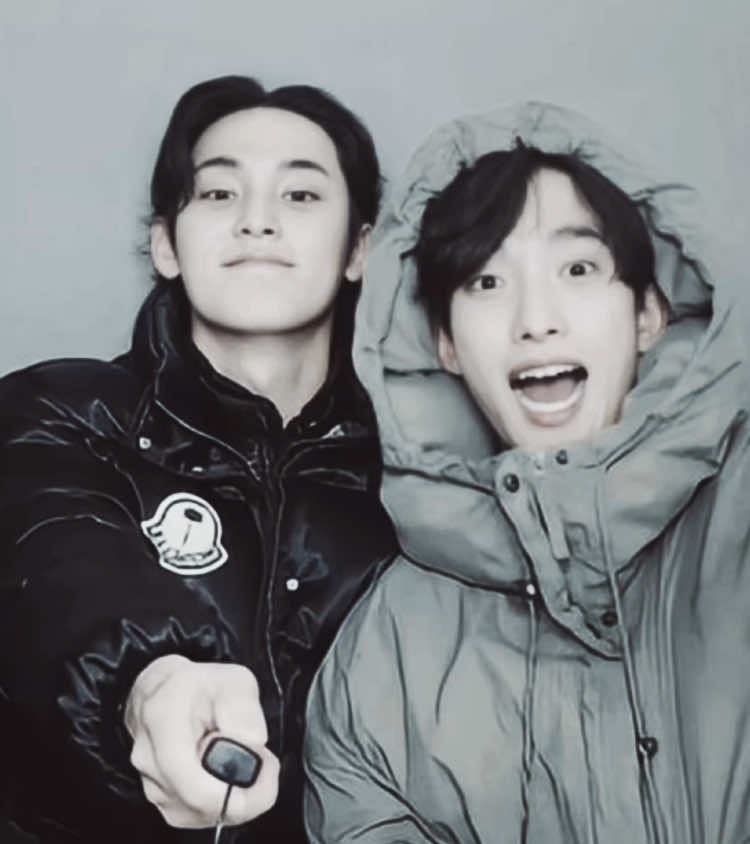 I LOVE THEM. #seokgyu #dk #mingyu #carat #caratfyp #2diino #seventeen #fypp 