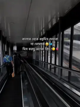 miss krmu onk.!🙂🫀. #status #fypシ゚viral #fyp #foryoupage #unfrezzmyaccount #plzunfrezemyaccount #your_fahad07 #bangladesh🇧🇩 #foryou @For You @For You House ⍟ @TikTok Bangladesh 