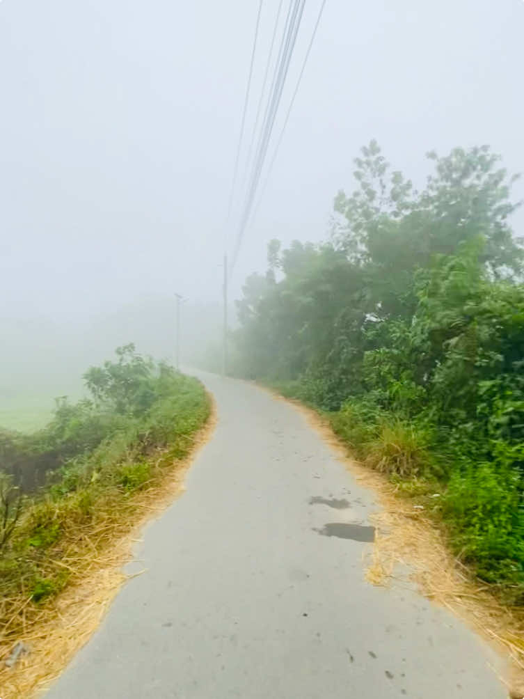 কোনো এক কুয়াশা ভরা শীতের সকালে গায়ে চাদর জড়িয়ে তোমার হাতে হাত রেখে হাঁটতে চাই প্রিয়..!!🥺❤️‍🩹#প্রকৃতি #প্রকৃতির_অপূর্ব_সৌন্দর্য🥰 #foryoupage #fyppppppppppppppppppppppp #ownarea 