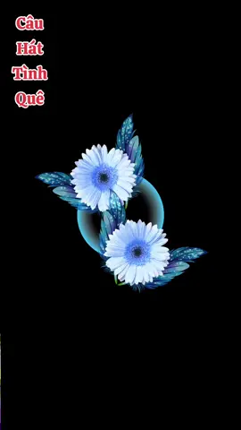 Tóc ngang lưng vừa chừng em bới #nhachaymoingay #foryou #viral_video #xuhuong #xuhuongtiktok 