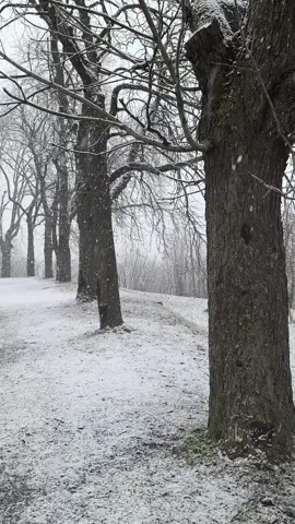 #zima #december #🌲 #flypシ ##flyyyyyyyyyyyyy #slovensko #viral_video #casvianoc 