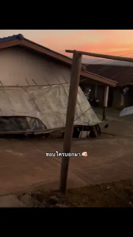 ชอบใครบอกมา.🫵🏻#เธรด #เธรดเพลง #ฟีด 