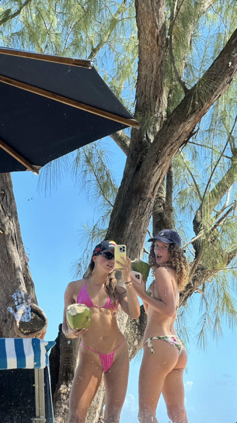 this and yap @Libertyavawalker 