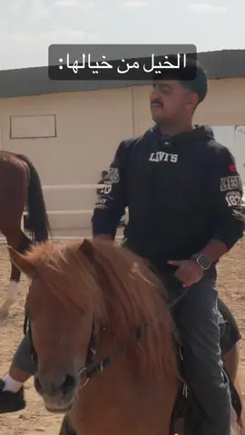 الخيل من خيالها 😂🏇 #بيكس #peaks #fyp #risingtogether @عبدالرحمن الشهري 