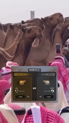 نحارات دونها الاد شالح ومطير 🔥☝🏻#نحارات_الصفر #احمد_قعيد_الشلاحي 