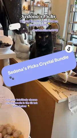 ✨ Sedona, our shop kitty, just picked out the perfect crystal bundle for erikawilliams8542! 🐾 These healing crystals bring transformation, clarity, and abundance. She even added a Fluorite Mini Lucky Cat Carving for a little extra joy and magic! 💎💖 #ShopKittyPicks #CrystalBundle #HealingCrystals #SedonaTheShopKitty #HealingVibes #CrystalMagic #AZStoneCo #crystals #crystalcollection #catsoftiktok 