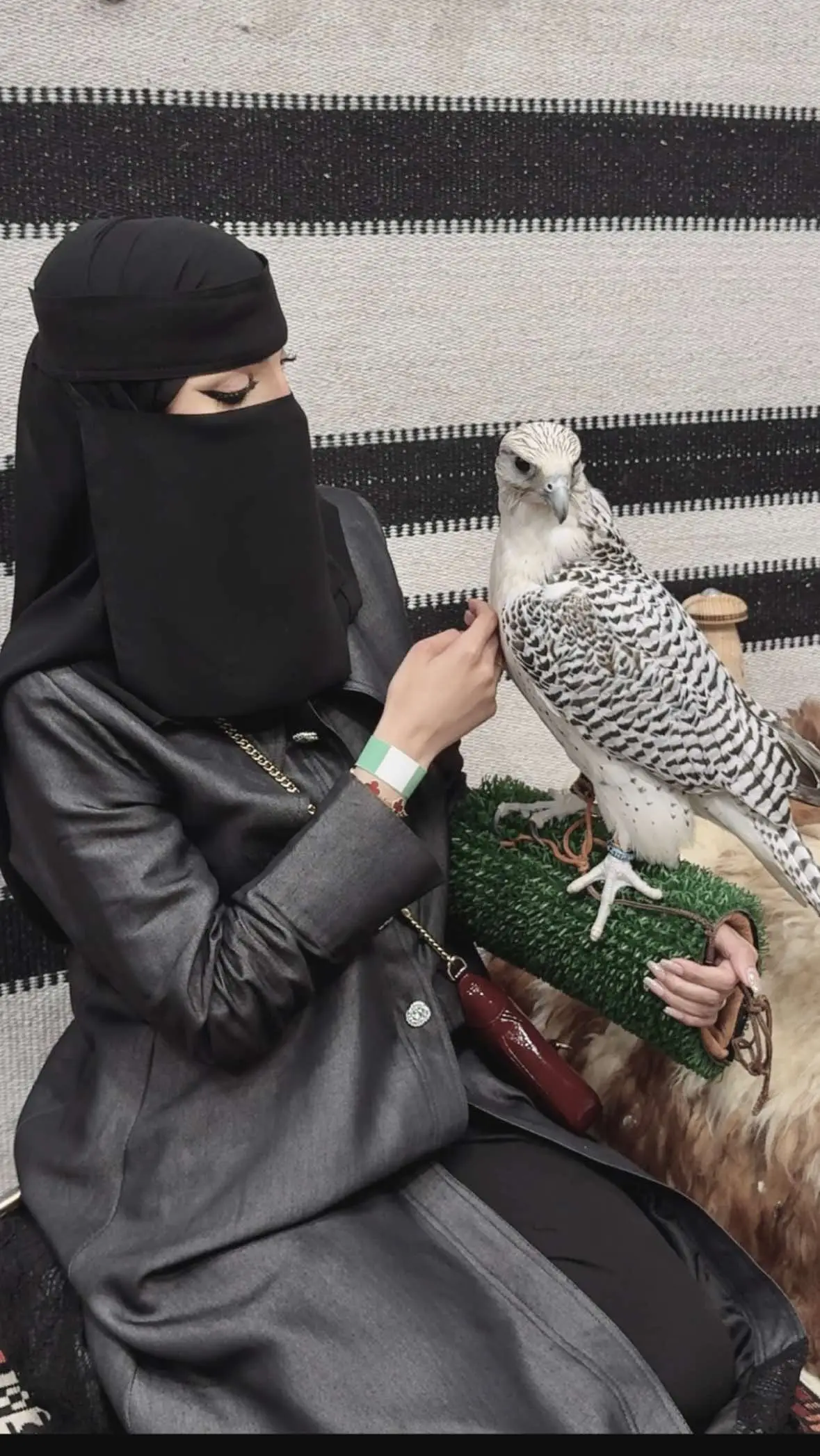 #العنود_اليوسف #صقر #ونترلاند_موسم_الرياض 