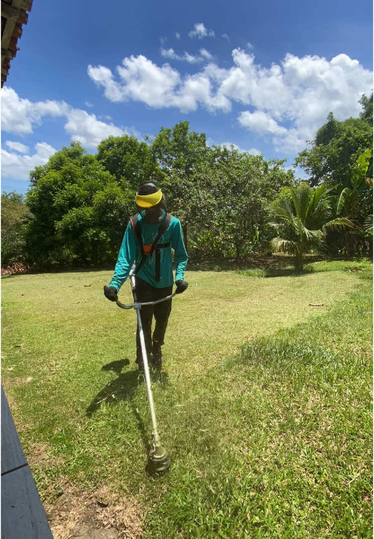 #roçadeira #viral #satisfying @STIHL Brasil 